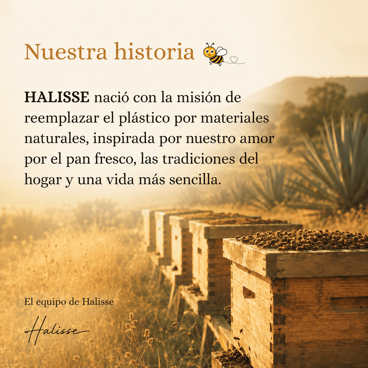 Halisse™ - Bolsa de Cera de Abeja para Pan Fresco